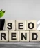 The Future of SEO: 2024 Trends You Need to Know Now